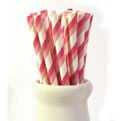 Paper Straws - Duo pink stripe