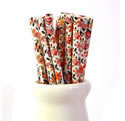 Paper Straws - Pretty floral