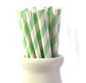 Paper Straws - Mint stripe